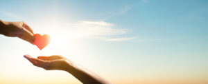 Non-Profit Management Liability Insurance