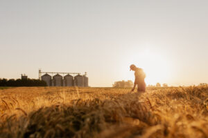 Agribusiness Insurance